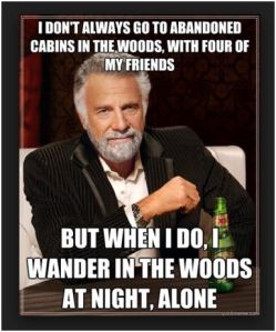 most interesting cabin in the woods